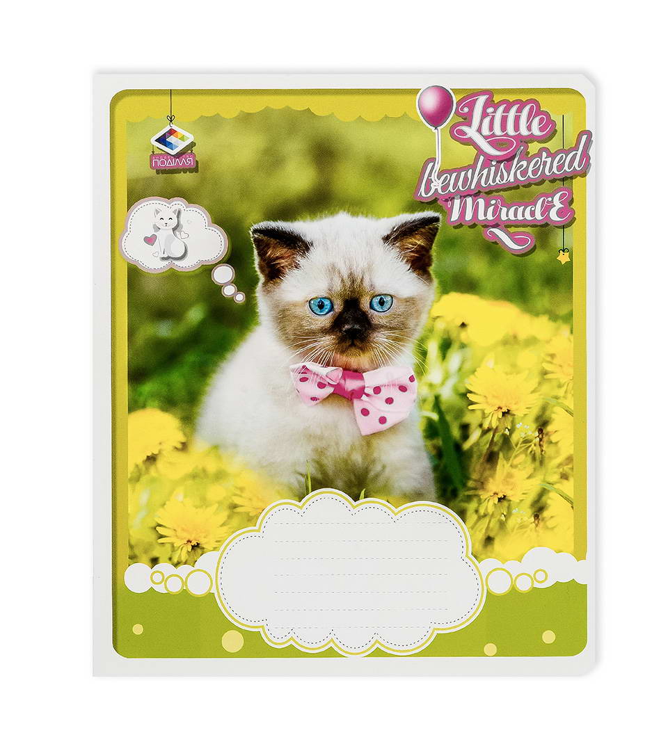 Зошити шкільні “Маленьке щастя” фото 5